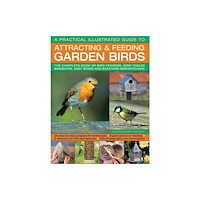 Anness publishing A Practical Illustrated Guide to Attracting & Feeding Garden Birds (häftad, eng)