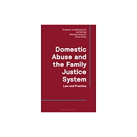 Bloomsbury Publishing PLC Domestic Abuse and the Family Justice System (häftad, eng)