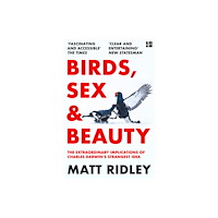 Matt Ridley Birds, Sex and Beauty (häftad, eng)