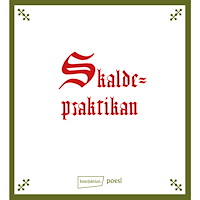 Interjektion HB Skaldepraktikan (häftad)