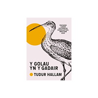 Cyhoeddiadau Barddas Y Golau yn y Gadair (häftad, wel)