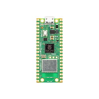 Raspberry Raspberry Pi Pico W