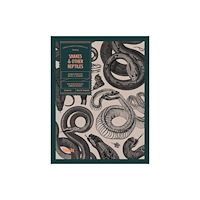 Vault Editions Ltd Snakes and Other Reptiles (häftad, eng)