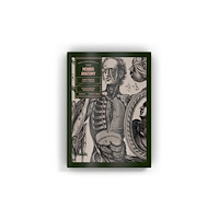 Vault Editions Ltd Morbid Anatomy (häftad, eng)