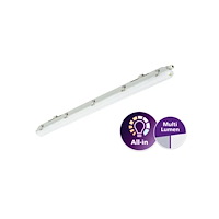 Signify Philips Ledinaire industribelysning IP65 WT065C LED 2900-480...