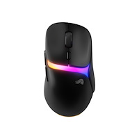 Glorious PC Gaming Race Glorious Gaming Model D3 Trådlös, högerhand, optisk, RF tråd...