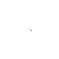 ACT ACT DisplayPort-adapter