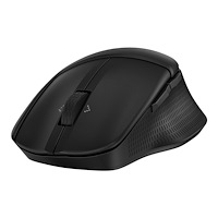 HP HP 480 - mus - komfort, fullstorlek - Bluetooth 5.3 - svart