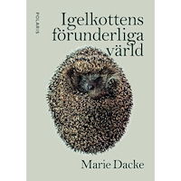 Maria Dacke Igelkottens förunderliga värld (bok, flexband)