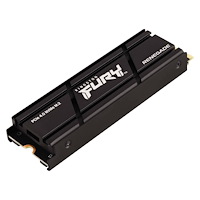 Kingston Technology Kingston | FURY Renegade