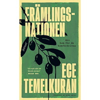 Ece Temelkuran Främlingsnationen : ett hem för de hemfördrivna (bok, kartonnage)
