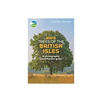 Bloomsbury Publishing PLC RSPB Trees of the British Isles (häftad, eng)