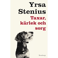 Yrsa Stenius Taxar, kärlek och sorg (häftad)