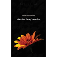 Håkan Lindgren Bland molnen finns solen (häftad)