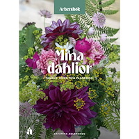 Catarina Adlerskog Mina dahlior : en arbetsbok för tankar, idéer och planering. (häftad)