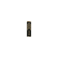Transcend Information Transcend 240S - SSD - 500 GB - PCIe 4.0 x4 (NVMe)