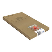 EPSON Epson 603XL Multipack Easy Mail Packaging - 4-pack - XL - svart, gul, cyan, magenta - original - bläckpatron