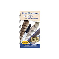 Adventure Publications, Incorporated Bird Feathers & Eggs of California (bok, spiral, eng)