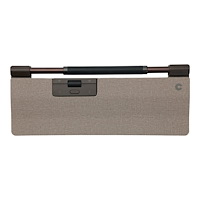 Contour Design Contour RollerMouse Pro - centrerad mus - reguljär - Bluetooth, 2.4 GHz, USB-C - ljusgrå
