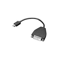 Lenovo Lenovo DisplayPort-adapter - 20 cm