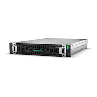 Hewlett Packard Enterprise HPE ProLiant DL385 Gen11 - kan monteras i rack EPYC 9124 3 GHz - 64 GB - SSD 2 x 480 GB
