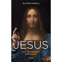 Elaine Pagels Jesus : ett historiskt mysterium (inbunden)