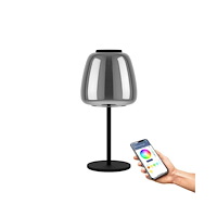 EGLO EGLO ALFERO-Z bordslampa RGB/CCT 1000 lm svart/krom/transpar...