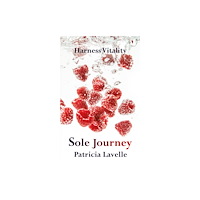 Troubador Publishing Sole Journey (häftad, eng)