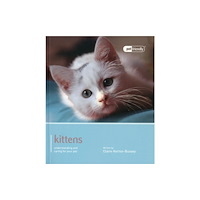 Magnet & Steel Publishing Ltd Kitten - Pet Friendly (häftad, eng)