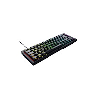 CHERRY CHERRY K5V2 - tangentbord - 65% compact TKL - QWERTY - Nordisk - svart Inmatningsenhet
