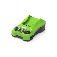 Greenworks Greenworks 2932407, Batteriladdare, Greenworks, Grön, AC, 22...
