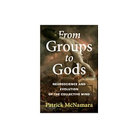 Cambridge University Press From Groups to Gods (häftad, eng)