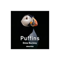 Graffeg Limited Puffins (inbunden, eng)