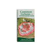 Adventure Publications, Incorporated Common Lichens of the Eastern United States (bok, spiral, eng)