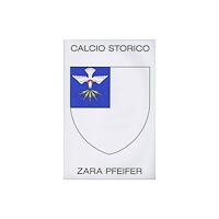 EDIZIONI C/O BARDI CALCIO STORICO (häftad, eng)