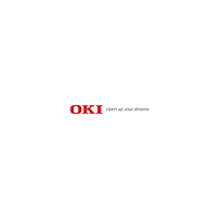 OKI OKI - svart - original - tonerkassett (alternativ för: OKI 46507624)