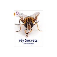 HarperCollins Publishers Fly Secrets (häftad, eng)