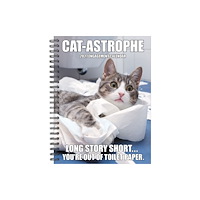 Willow Creek Press Cat-astrophe 2027 Engagement (häftad, eng)