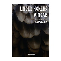 David Gårsjö Under hökens vingar (häftad)