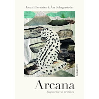 Jonas Ellerström Arcana (bok, danskt band)