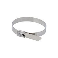 Dedra Dedra rostfria buntband SS304 4,6 x 200 mm – 5 st (11NB4200)