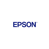 EPSON Epson 250 - ljus cyan - original - bläckpatron