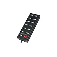 2direct LogiLink USB 2.0 Hub 13-Port with On/Off Switch - hubb - 13 portar