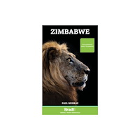 Bradt Travel Guides Zimbabwe (häftad, eng)