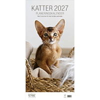 Bokförlaget Semic Katter 2027 planeringskalender : med 5 kolumner för hela familjens aktiviteter (bok, spiral)