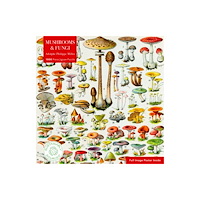 Flame Tree Publishing Sustainable Jigsaw Puzzle Mushrooms & Fungi 1000-pieces