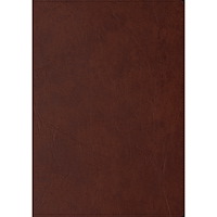 Libris förlag Skrivbok A5 PU linjerad brun (bok)