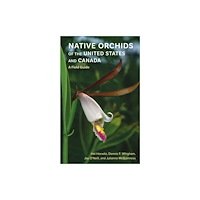 Cornell University Press Native Orchids of the United States and Canada (häftad, eng)