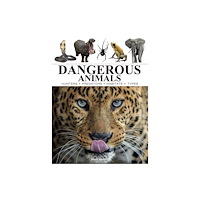 Amber Books Ltd Dangerous Animals (häftad, eng)