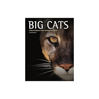 Amber Books Ltd Big Cats (inbunden, eng)